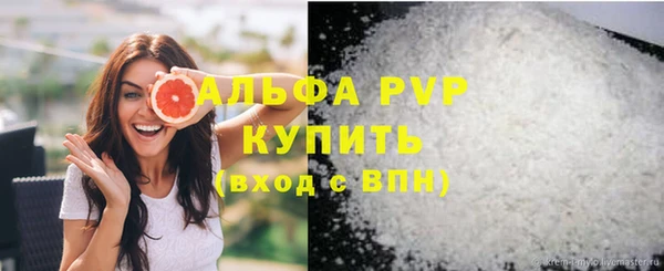 стафф Вяземский