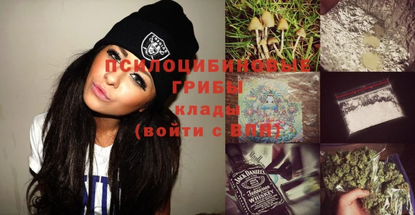 мдпв Волосово