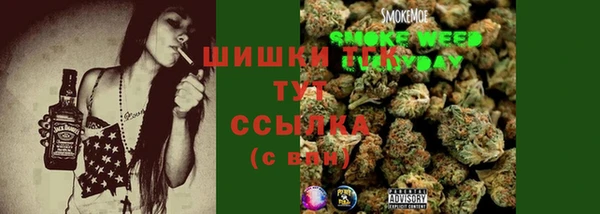 мдпв Волосово